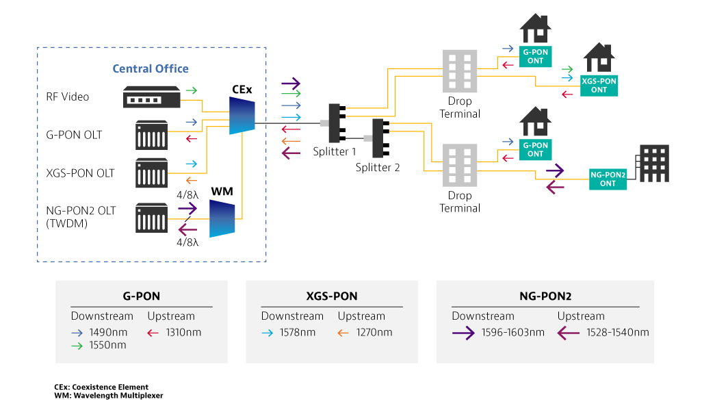 PON Network
